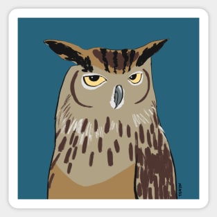 Owl Sticker